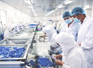 欧博abg - 官方网站登录入口